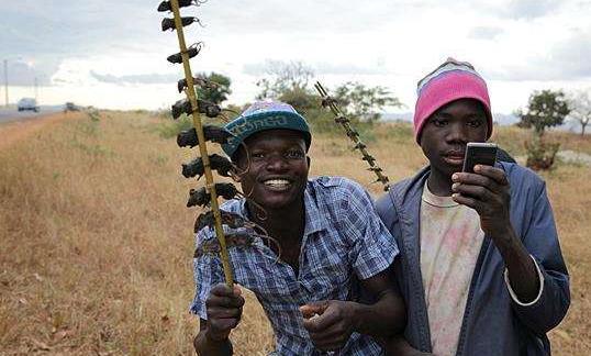 罗阿薇和非洲视频 吃瓜