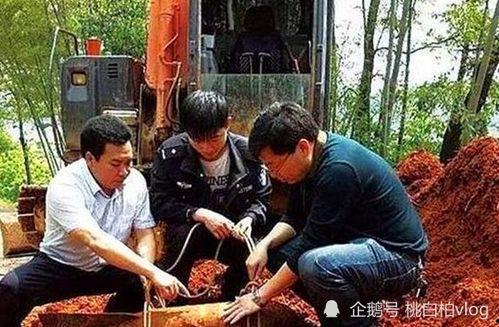 四川山村吃瓜事件视频