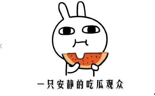黑料视频吃瓜,一场网络吃瓜盛宴背后的真相