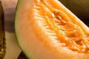 蜜瓜晚上敢吃吗有毒吗视频,蜜瓜晚上食用安全吗？揭秘夜间食用蜜瓜的真相